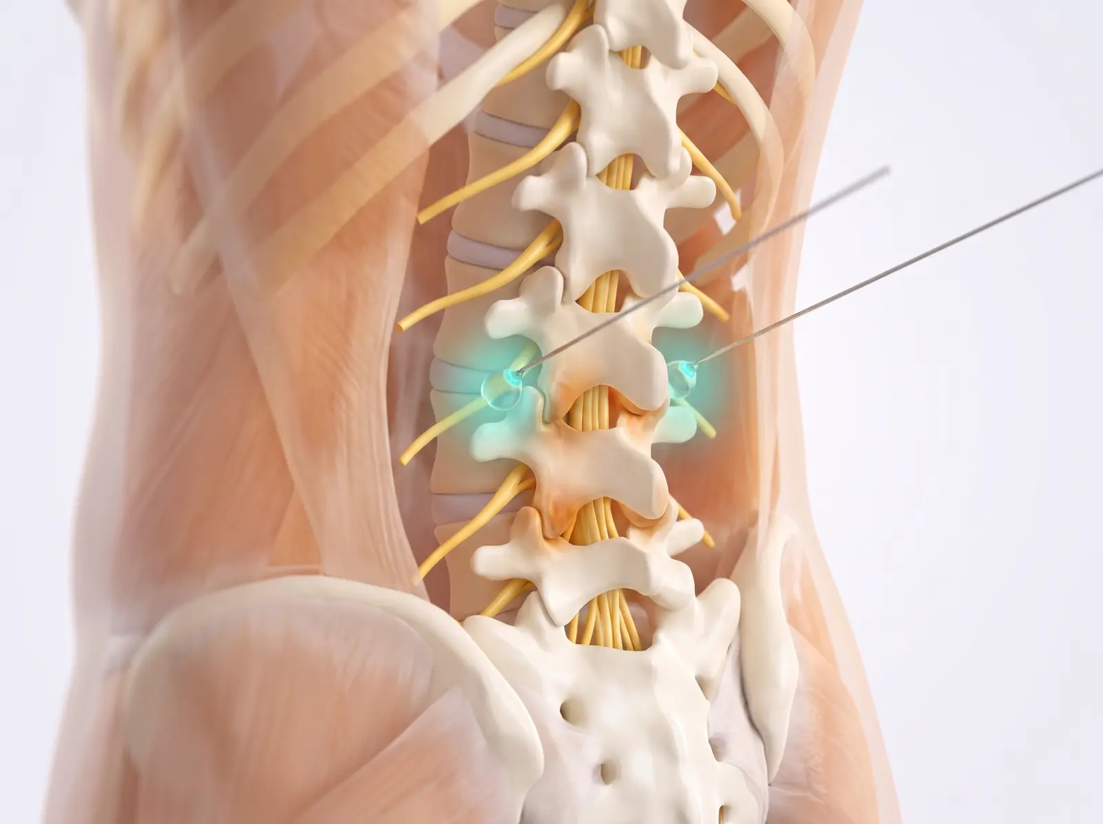 The test block — medical illustration
