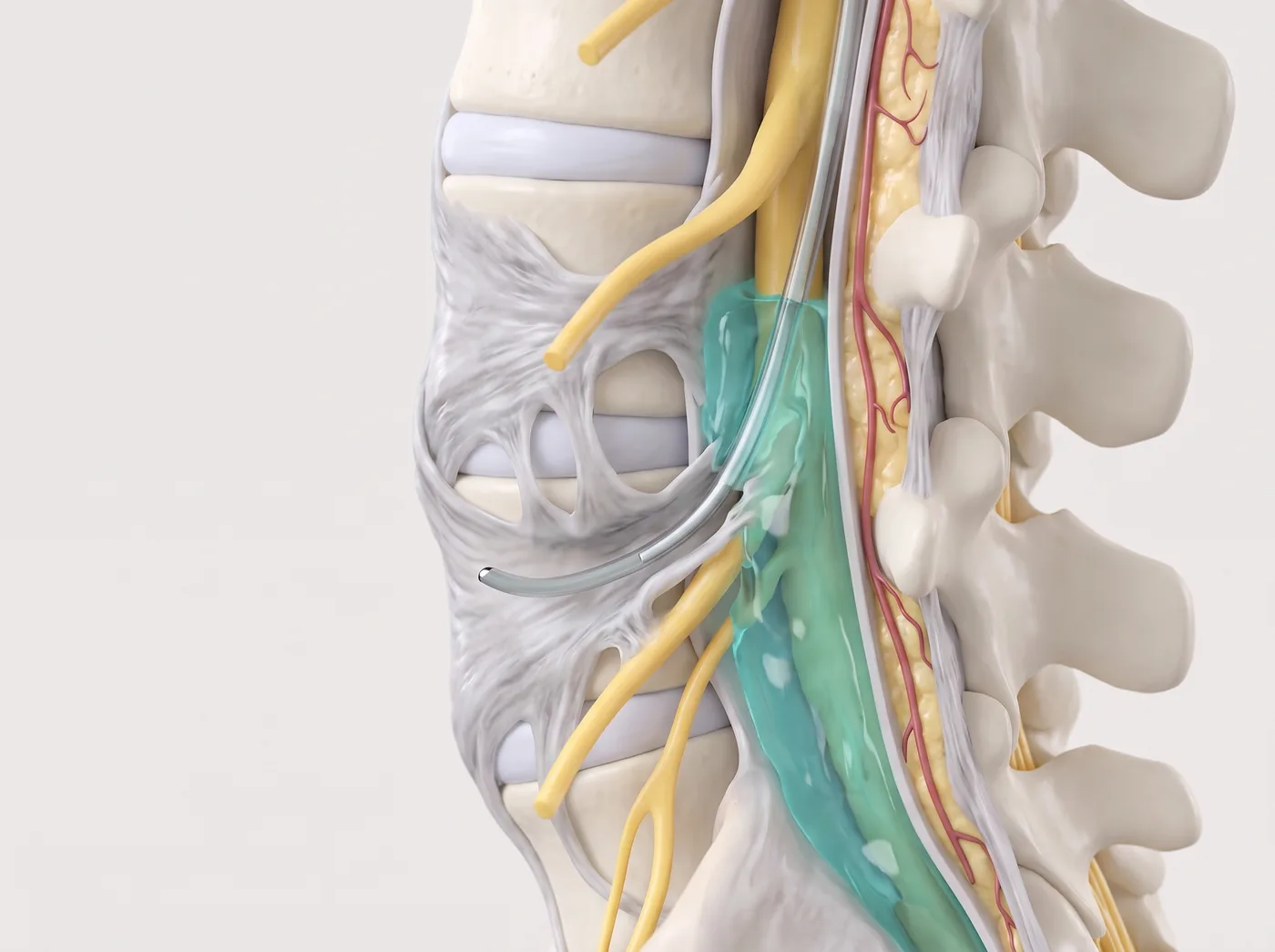 How it works — medical illustration