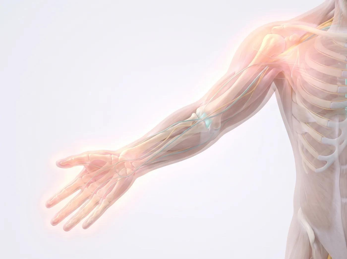 The reset — medical illustration